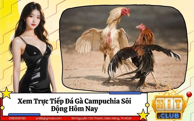 Đá Gà Campuchia