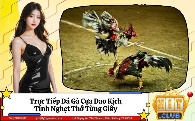 Đá Gà Cựa Dao