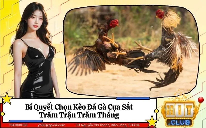 Đá Gà Cựa Sắt
