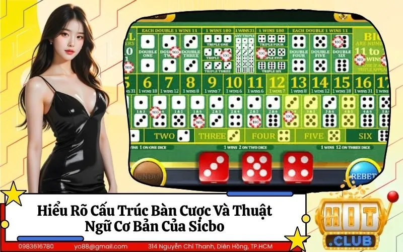 Hiểu Rõ Cấu Trúc Bàn Cược Và Thuật Ngữ Cơ Bản Của Sicbo