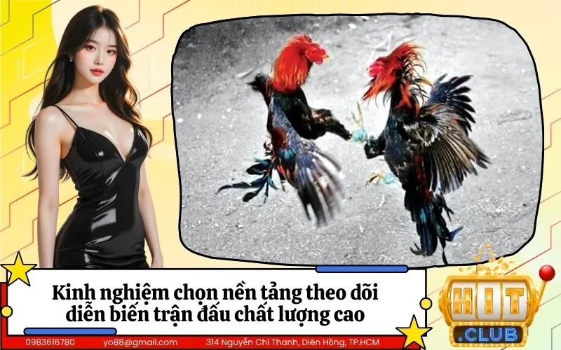 Kinh nghiệm chọn nền tảng theo dõi diễn biến trận đấu chất lượng cao