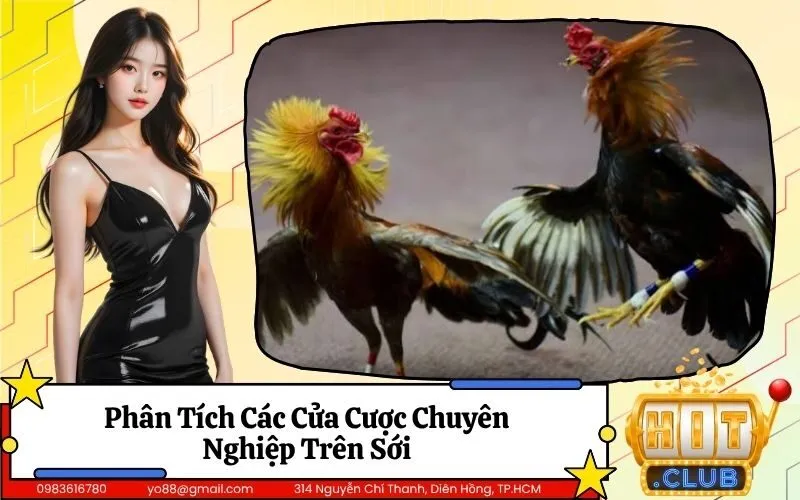 Phân Tích Các Cửa Cược Chuyên Nghiệp Trên Sới