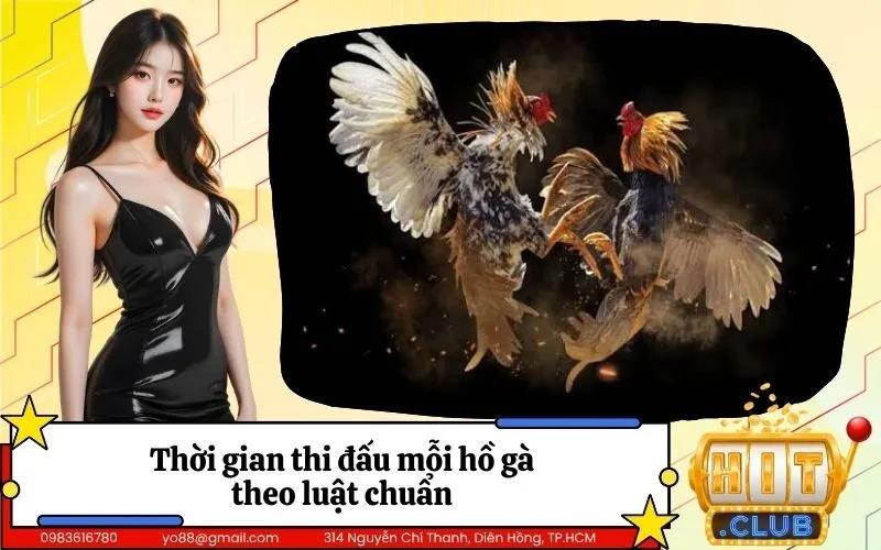 Thời gian thi đấu mỗi hồ gà theo luật chuẩn